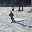 강호 해솔 태권도 이미지