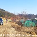 가야산공인중개사사무소 이미지