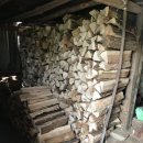 한반도면-3 이미지