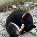 파리바게뜨서창휴먼시아점 이미지