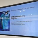 율동물의료센터 | 마곡 24시 동물병원 9살 강아지 건강검진 율동물의료센터에서 받은 후기
