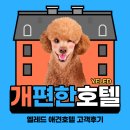 월성유치원 | 옐레드 애견유치원·호텔ㅣ추석 명절, 강아지 호텔을 찾고 있다면 바로 여기!!