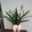 대훈유통 이미지