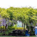 국화목장 이미지