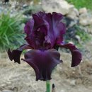 우아농장 이미지