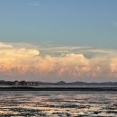 태안오션힐리조트 | 재방문한 태안 오션힐리조트 가족펜션 내돈내산 후기, 갯벌체험 굿!