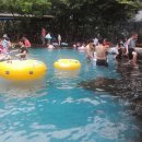 정자나무아래 이미지