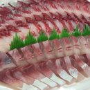 꼬리치는바다 네이버블로그