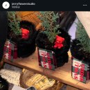 제리플라워 이미지
