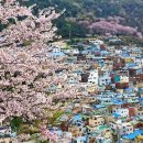 호텔체리블러썸 이미지