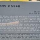 옥천리삼층석탑및유물일괄 네이버블로그