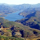 전망대로 이미지