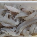 산바다회도매상 이미지