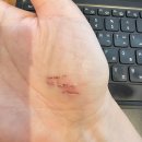 케이 에스(K·S) P·T샵 | [7편] 여자 혼자 발리 2주 여행기 '발리에서 생긴 일' - 발리 사누르까지 와서 호캉스만 하는 사람 됨