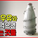 우유와 이것 절대 같이 먹지 마세요! 우유와 최악의 궁합 음식 이미지