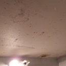 쌍용주공7단지아파트(3차) 이미지