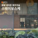함덕 화산송이 펜션 | 제주도 함덕 숙소 l 숲을 품은 펜션 제주 스테이보스케