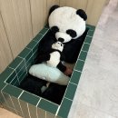 파라곤목욕탕 이미지