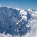 달짝지근해 이미지