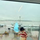 푸른지씨씨㈜ | [해외여행] 23개월 아기와 스마씨월드 | 여름 고베 여행 DAY1 솔직 후기