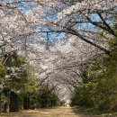 청려수련원 이미지