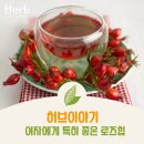 허브이야기 이미지