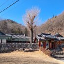 금오산(경충사) 네이버블로그