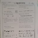 쏘올 공인번역 행정사 이미지