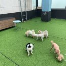 바로나도 수원영통 이미지