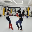 체크맷 스파르타쿠스 짐 이미지