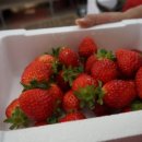 무열농장 이미지