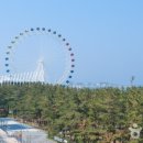 유에이치플랫더속초 네이버블로그