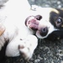 일요농장 이미지