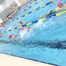 서귀포 홍리 실내수영장 이미지