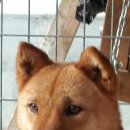 에코세븐 이미지