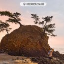 서천 판교 구 동일주조장 이미지