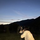 루아네 하우스 이미지