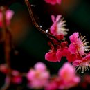 서있는 사람 이미지