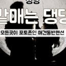 콩밭매는 강아지 이미지