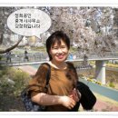 신사동공인중개사사무소 이미지