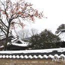 종가떡 뉴시스