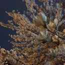 도시N공인중개사사무소 이미지