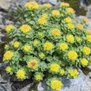 밝은약국 이미지