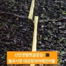 신안건어물 이미지