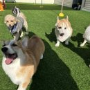 칠곡유치원 이미지