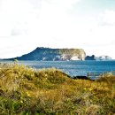 그바다에 가면 이미지