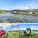 순천고들빼기영농조합법인 이미지