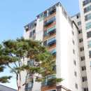 월드 태양광발전소 이미지