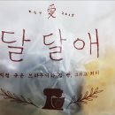 달달애 이미지