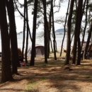 대천용두야영장 이미지